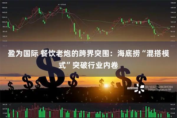盈为国际 餐饮老炮的跨界突围：海底捞“混搭模式”突破行业内卷