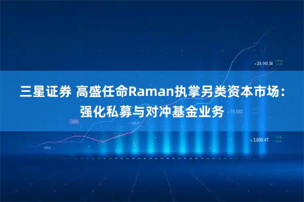 三星证券 高盛任命Raman执掌另类资本市场：强化私募与对冲基金业务