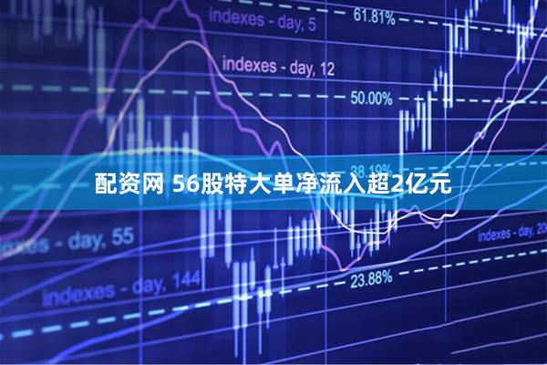 配资网 56股特大单净流入超2亿元