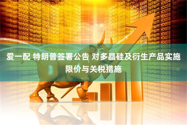 爱一配 特朗普签署公告 对多晶硅及衍生产品实施限价与关税措施