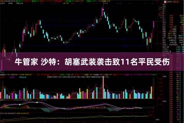 牛管家 沙特：胡塞武装袭击致11名平民受伤
