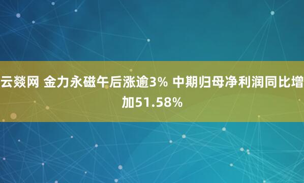 云燚网 金力永磁午后涨逾3% 中期归母净利润同比增加51.58%